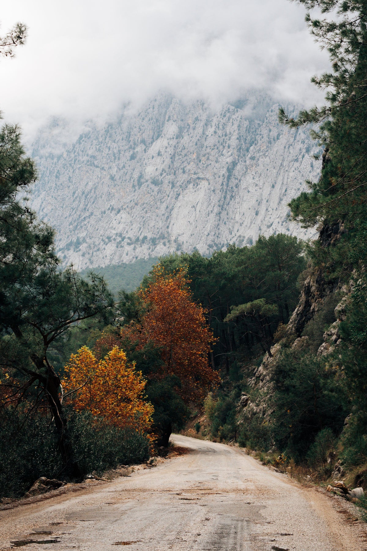 Misty mountain road in autumn